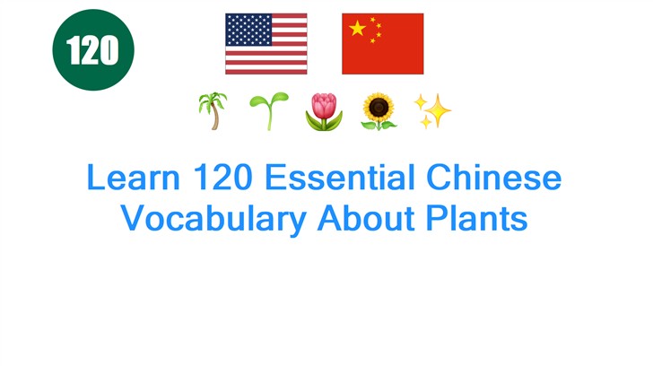 Learn 120 Essential Chinese Vocabulary About Plants